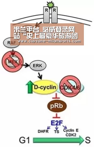 米兰平台_必威登录网站“史上最豪华旅游团”的60天环游南北极五大洲线路即将推出(图2) 米兰电竞平台