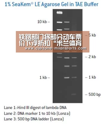 铁路部门将部分动车票价下浮折扣“米兰体育入口”(图2) 米兰平台