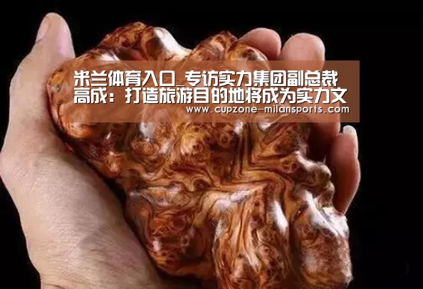 米兰体育入口_专访实力集团副总裁高成:打造旅游目的地将成为实力文旅新方向(图1) 米兰体育官网