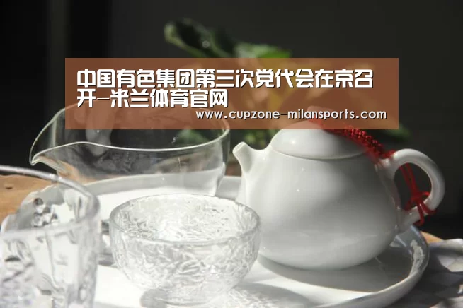 中国有色集团第三次党代会在京召开-米兰体育官网(图2) 米兰电竞平台