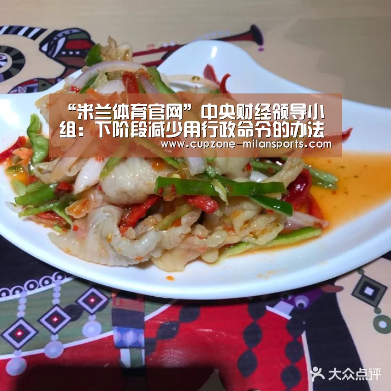 “米兰体育官网”中央财经领导小组:下阶段减少用行政命令的办法去产能(图2) 米兰体育入口