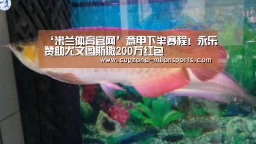 ‘米兰体育官网’意甲下半赛程!永乐赞助尤文图斯撒200万红包(图1) 米兰体育官网
