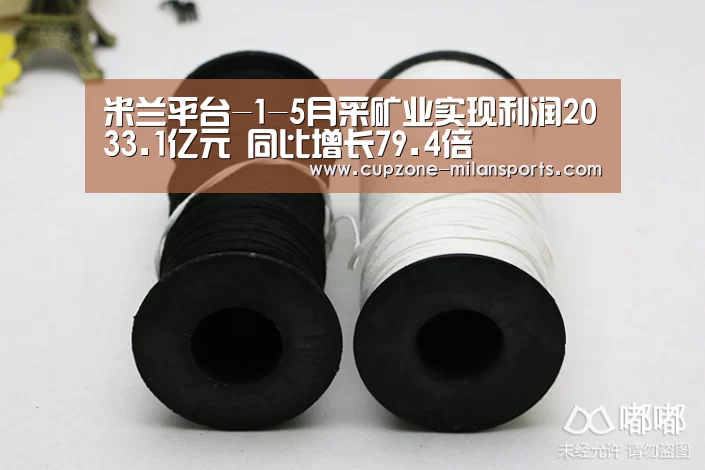 米兰平台-1-5月采矿业实现利润2033.1亿元 同比增长79.4倍(图2) 米兰平台