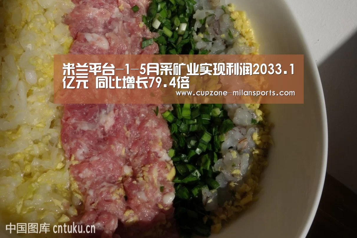 米兰平台-1-5月采矿业实现利润2033