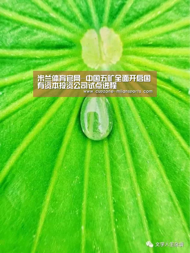 米兰体育官网