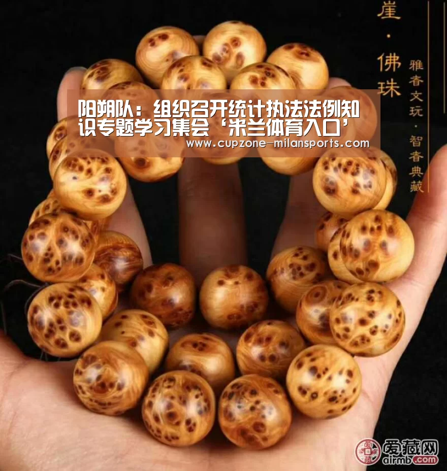阳朔队:组织召开统计执法法例知识专题学习集会‘米兰体育入口’(图1) 米兰体育官网