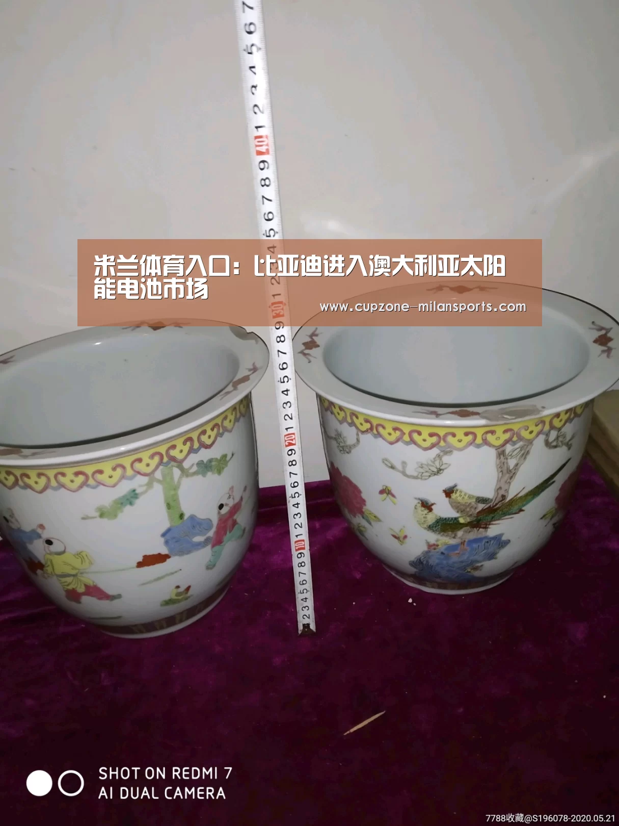 米兰体育入口:比亚迪进入澳大利亚太阳能电池市场(图3) 米兰平台