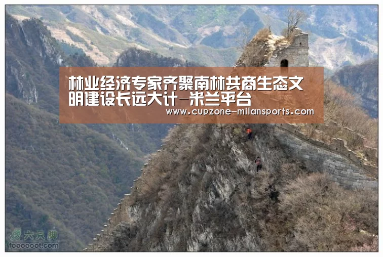 林业经济专家齐聚南林共商生态文明建设长远大计-米兰平台(图3) 米兰平台