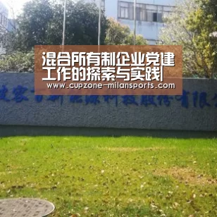 混合所有制企业党建工作的探索与实践|米兰电竞平台(图1) 米兰电竞平台